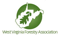 www.wvfa.orgg